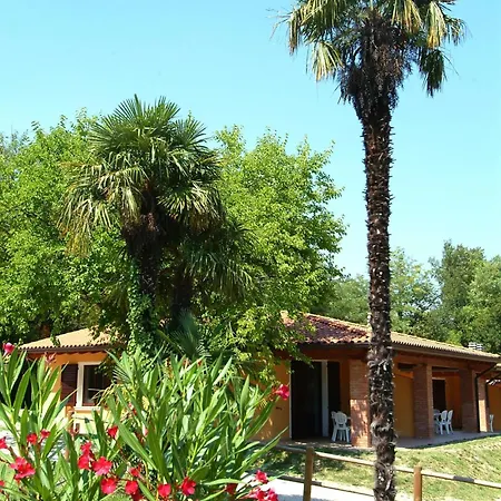 Zocco Manerba del Garda