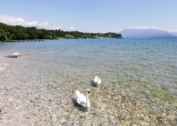 Ośrodek wypoczynkowy Zocco