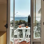 Zocco 2*